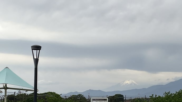 大和ふれあいの森 連休お仕舞い 庭の花 May 2024
