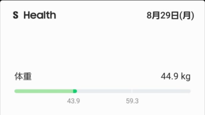 昨日はこんな感じでした。