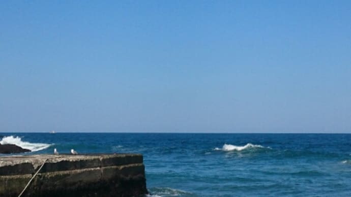 本日の海@八戸 2021