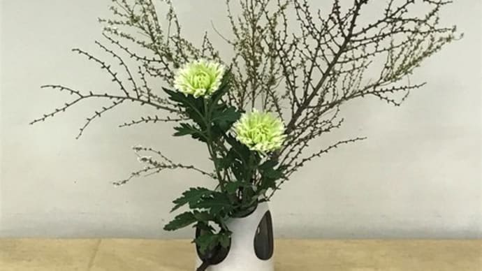 170407 作楽会 いけばな 草月流 56 キク、自由花