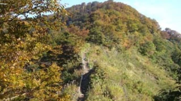 米山登山