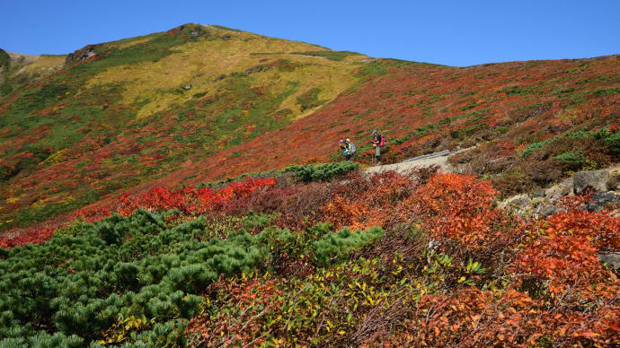 みちのく紅葉山 2.神の絨毯