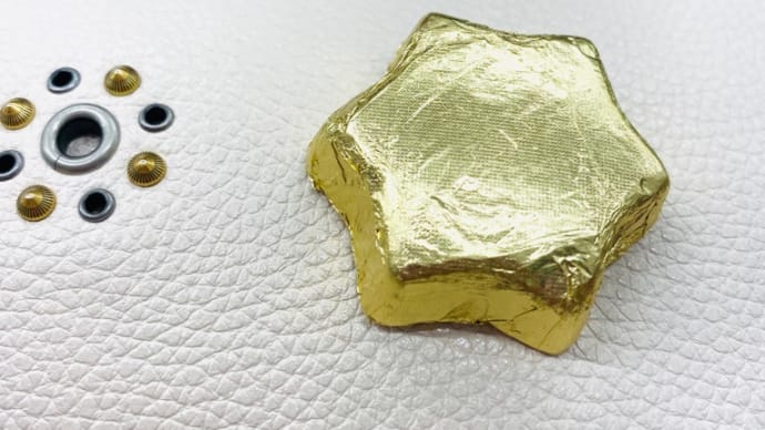 博士課程論文指導