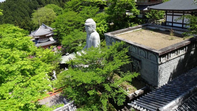西国三十三所第六番札所　壺阪山　南法華寺！多くの仏像に出会いました。