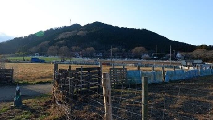 次女、ビビッちゃいました【神奈川県・服部牧場でエサやり】