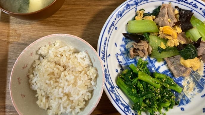 コツコツしかできん