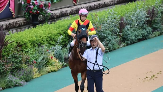 春競馬2