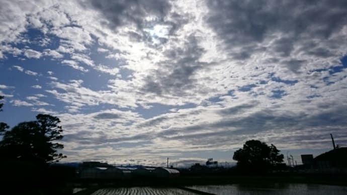 2018年4月25日   朝空