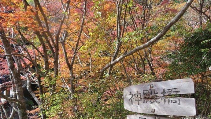 黒尊渓谷のメインシーズン到来