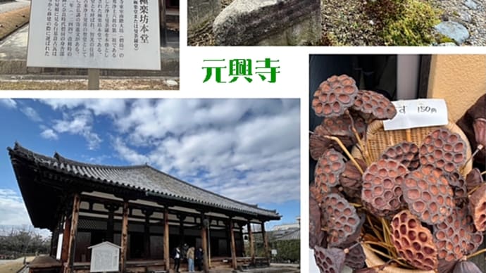 ならまちから元興寺、奈良公園の興福寺東大寺!