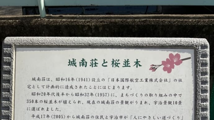 城南荘の桜2022 満開近し