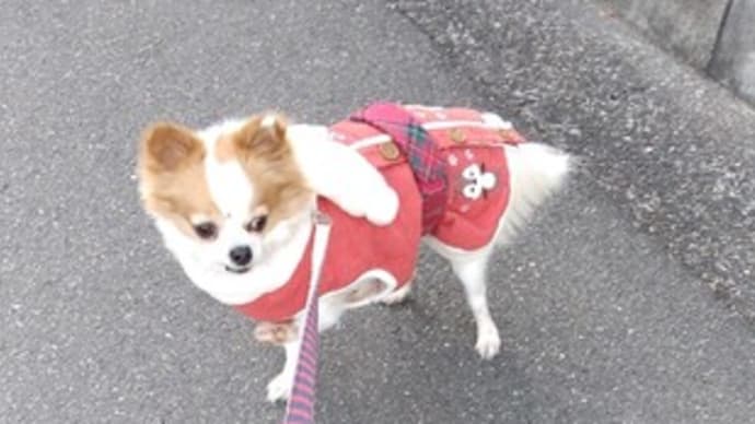 あれ?支払ってなかった?