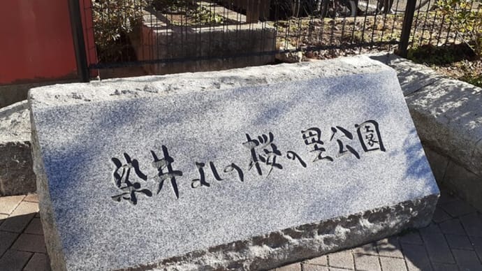 「染井よしの桜の里公園」の急坂を下ったら、