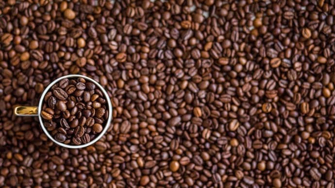 コーヒー豆の味は一体何が真実か。真実を探す旅が人生の楽しみですね。真実は1つでない。