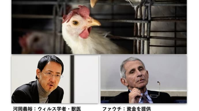 東大の河岡教授等によって、哺乳類伝染性鳥インフルH5N1株は完成していた。