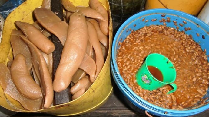 縄文納豆の可能性とアジアマイノリティのおふくろの味・・・高橋秀行著「謎のアジア納豆」