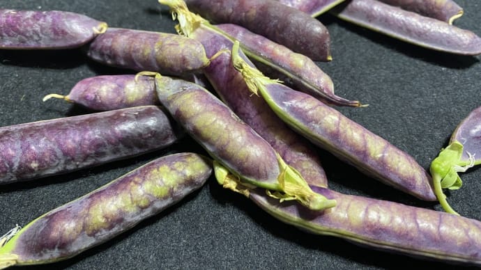 【GWのひとつ】野菜をあれこれ使い切り!