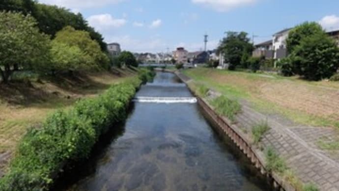 2023東京河川ポタリング『黒目川』④石神橋~西武池袋線と交差