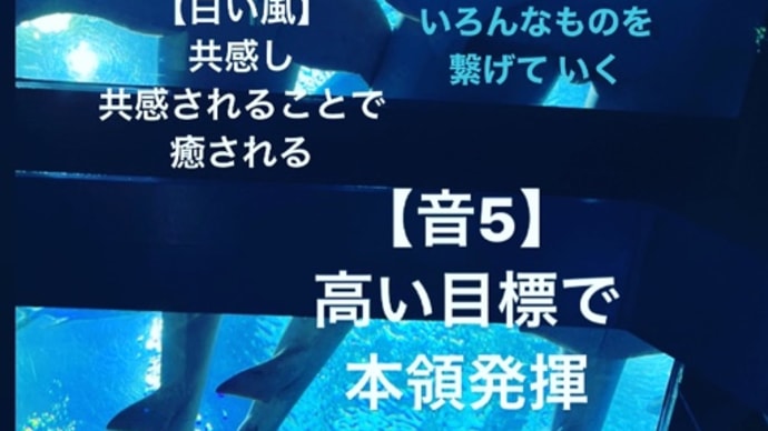 〜マヤ暦 K227 青い手・白い風・音6〜 「鏡の向こう」に会えた「絶対反対パート2」の日