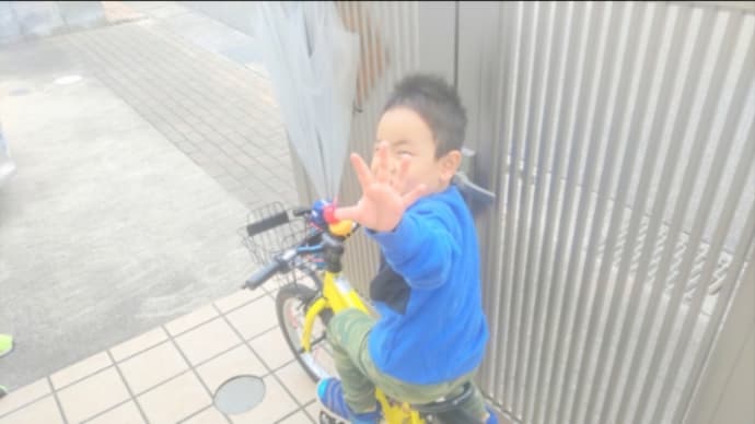 幸せなお腹