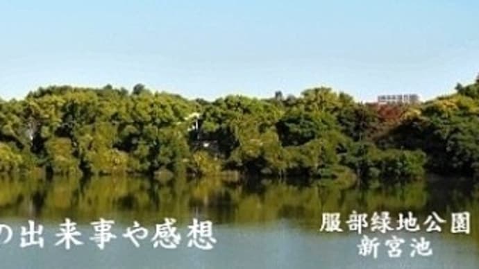 無呼吸症候群-2