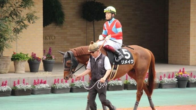 春競馬だよ-中京競馬場編