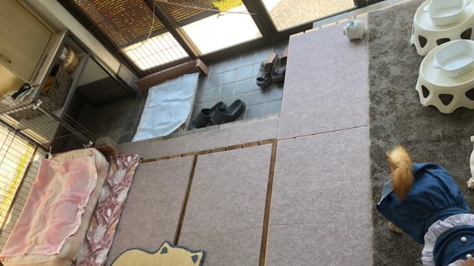 おめでとう!