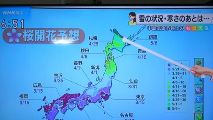 ちょっと大変な一日&桜の開花予報