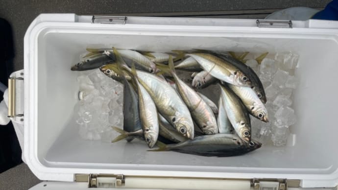 27日・釣果