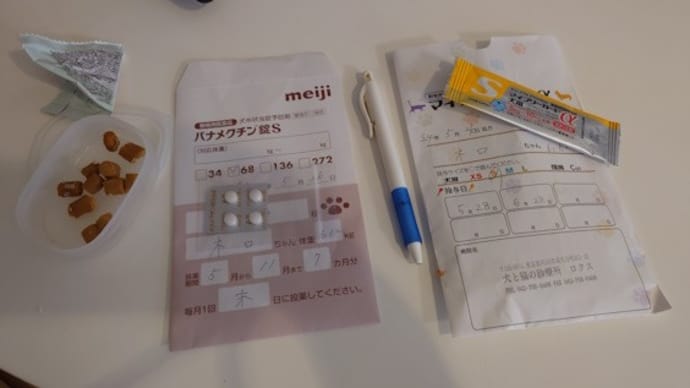 自宅で見積してもらって、店舗で契約