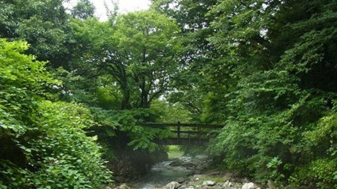 「風布川で沢遊び」事前調査