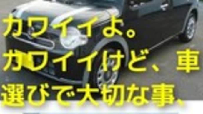 30万の中古車を買いに行ったのに、240万?の新車に。そして