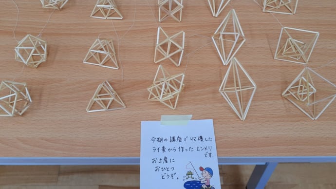 自然農稲作教室 種の会 8/31