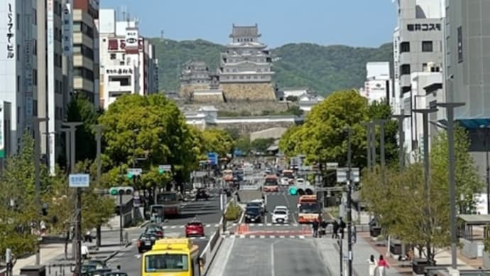 雨が止まないので