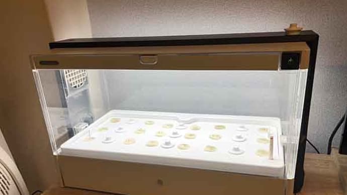水耕栽培グリーンファーム〜発芽!〜