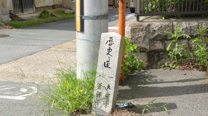 近くを散歩 暑い夏