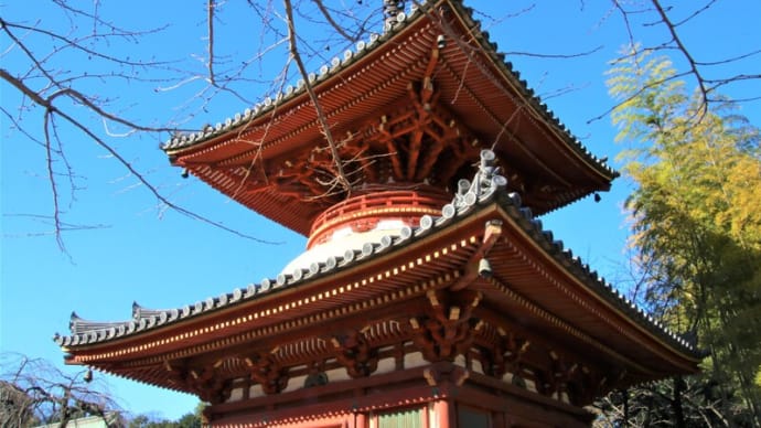 多宝塔に惹かれて