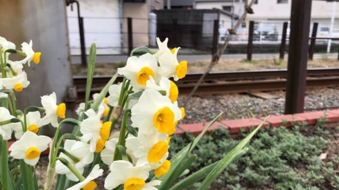 寒の戻りの週末@松山