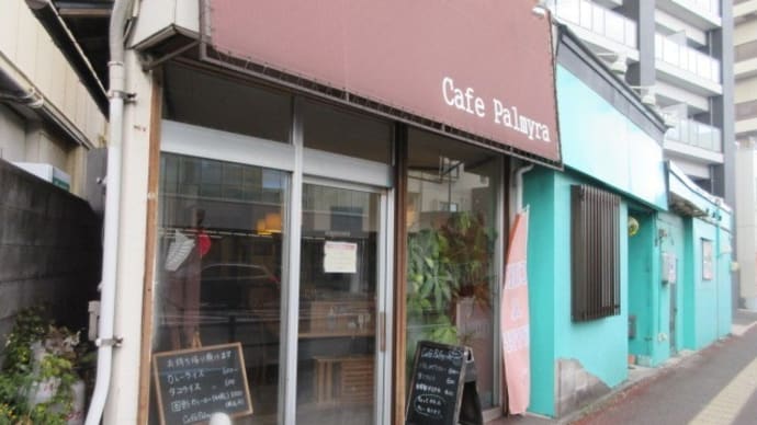 「Cafe Palmyra(カフェパルメイラ)」で、パルメイラカレー、タコライス、スパムむすび、スコーン、濃厚チーズケーキ