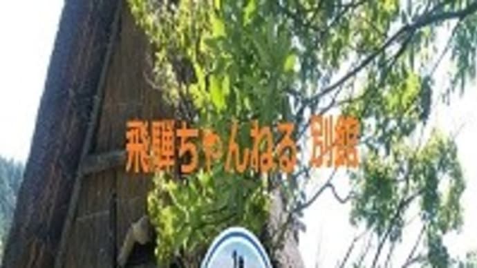 ●渡辺てる子大街宣11/7⑦鷺ノ宮駅3 (2020.11.07)