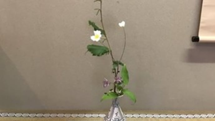 、22 スポーツの日 我が家で