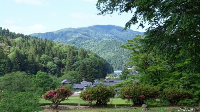 福井県「一乗谷朝倉氏遺跡」を巡る