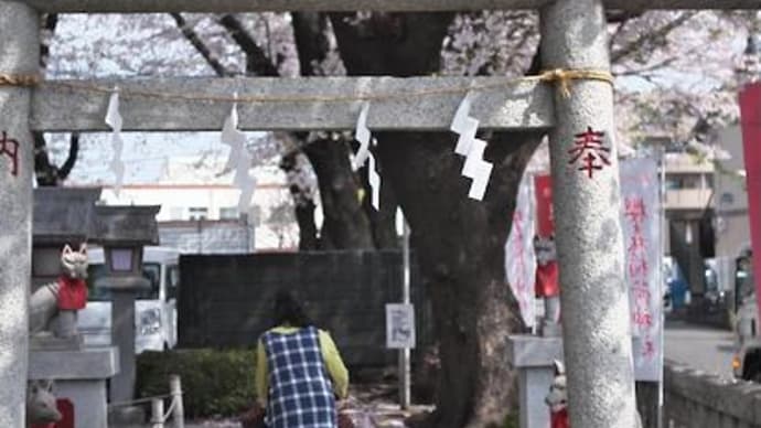 チョロっと 半ドン 泉の森