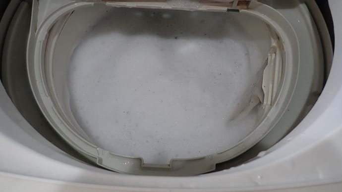 【汚い注意】洗濯槽の汚れを取ってみる