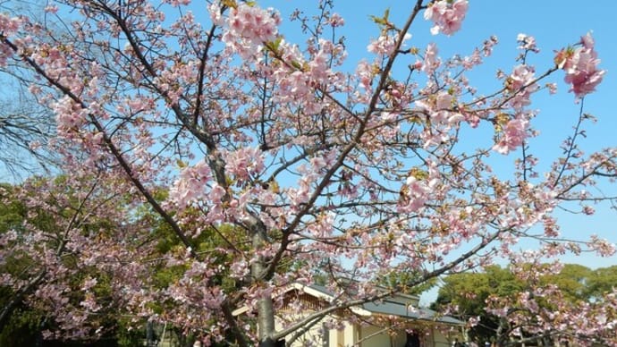 大仙公園・日本庭園(2/20)