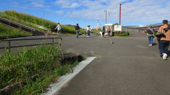 横浜散トレ 20241117