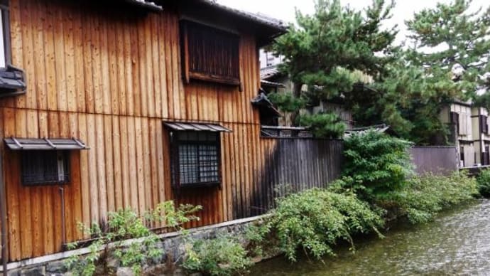 2024年11月23日(土)の「小関越え」・「琵琶湖疎水沿いのハイキングコース」・京都市内(8)