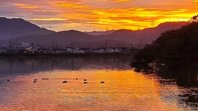 朝の散歩 平池公園 9 10.6~10.7