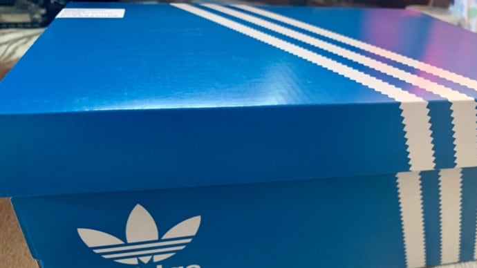 adidasオンラインショップで♪スリッポンお買い物(*´艸`)