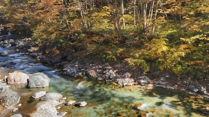 ★秋の白馬村 松川の渓流を撮る 2022